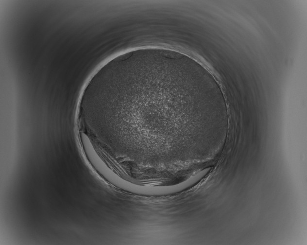 X0000093121536200710101031