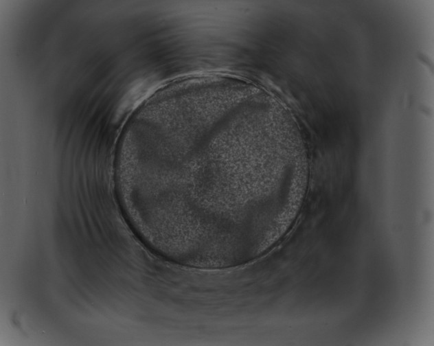 X0000093120002200710171256