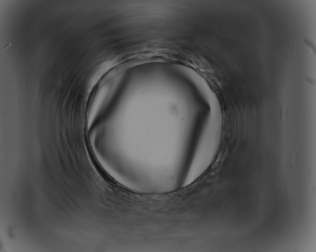 X0000093120003200710171256