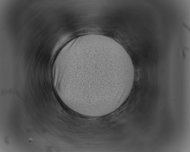 X0000093120004200710171256