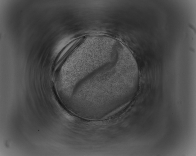 X0000093120005200710171256