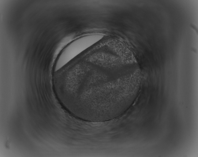 X0000093120006200710171256