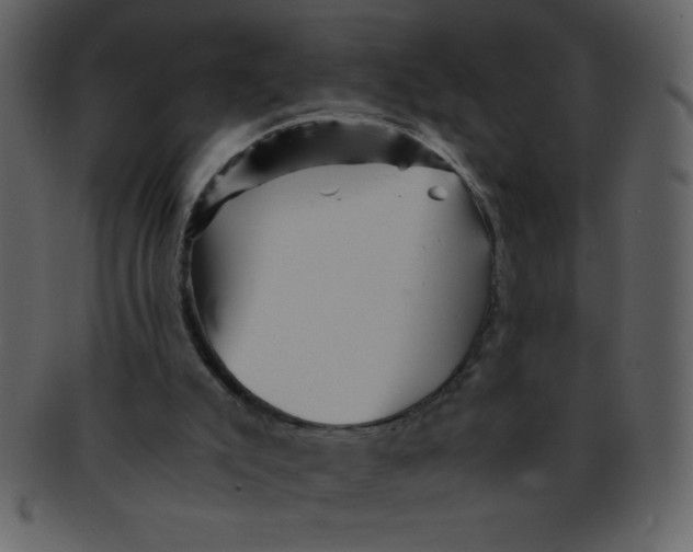 X0000093120007200710171256