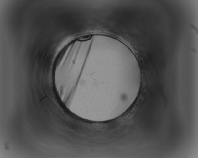 X0000093120008200710171256