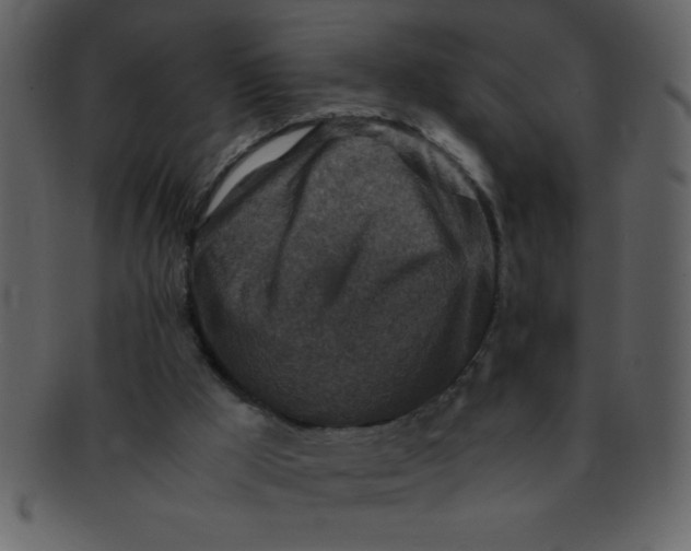 X0000093120009200710171256