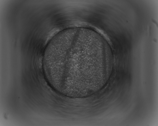 X0000093120010200710171256