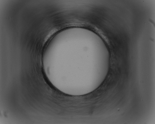 X0000093120011200710171255