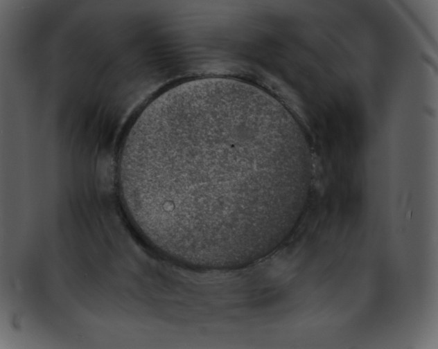 X0000093120012200710171255