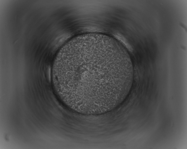 X0000093120014200710171255