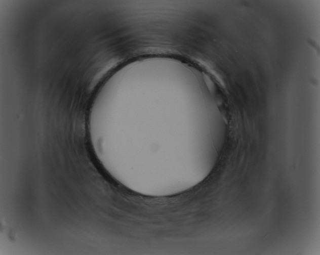 X0000093120015200710171255