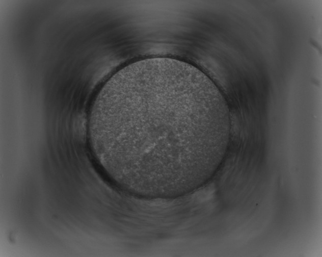 X0000093120016200710171255