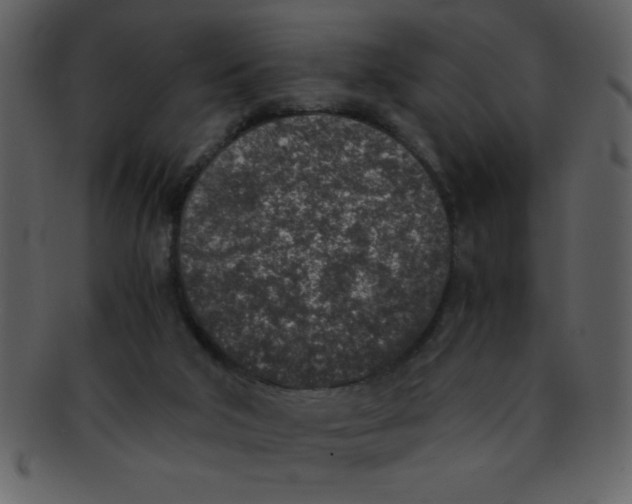 X0000093120018200710171255