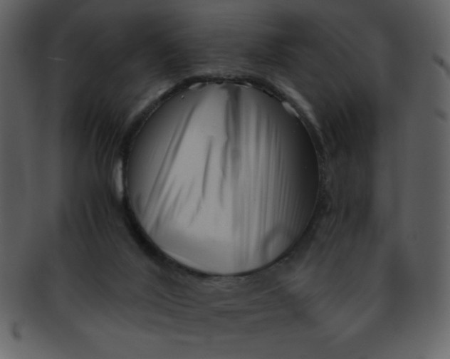 X0000093120020200710171255