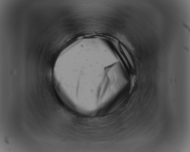 X0000093120021200710171255