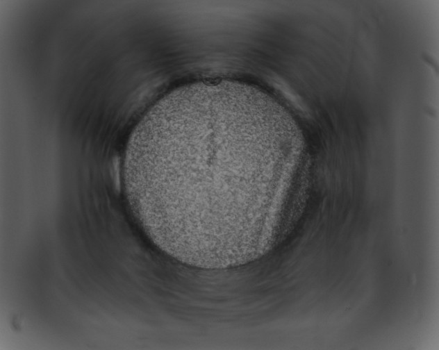 X0000093120022200710171255