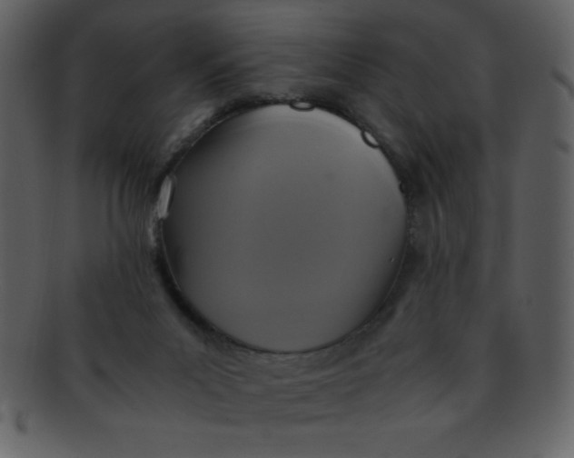 X0000093120023200710171255