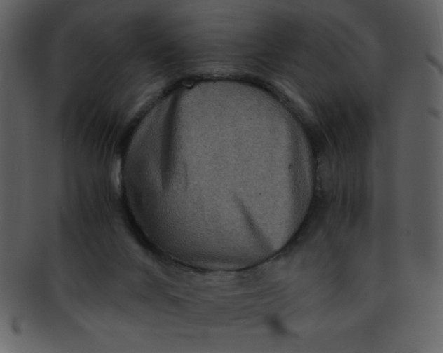 X0000093120024200710171255