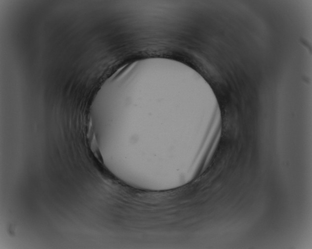 X0000093120025200710171255