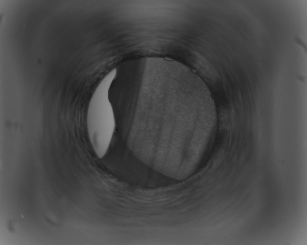 X0000093120029200710171255