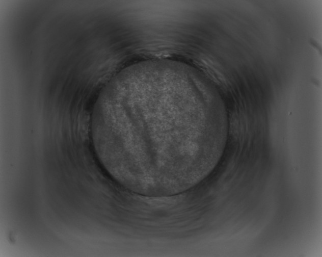 X0000093120030200710171255