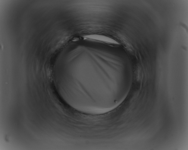 X0000093120031200710171255