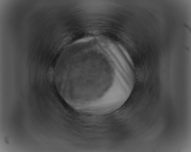 X0000093120036200710171255