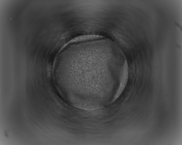 X0000093120038200710171255