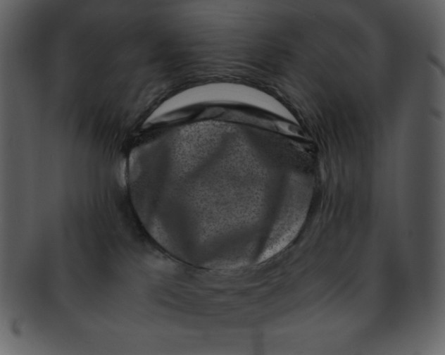 X0000093120041200710171255