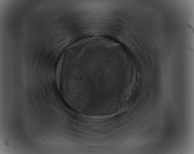 X0000093120048200710171255