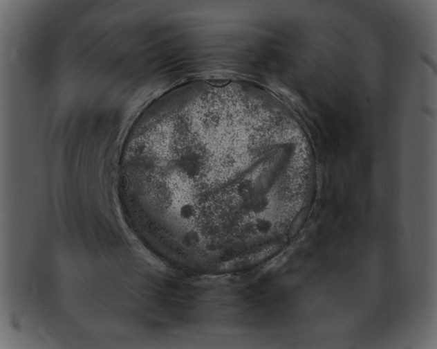 X0000093120049200710171254