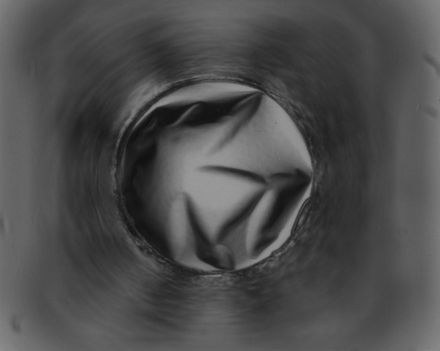 X0000093120050200710171254