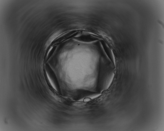 X0000093120051200710171254