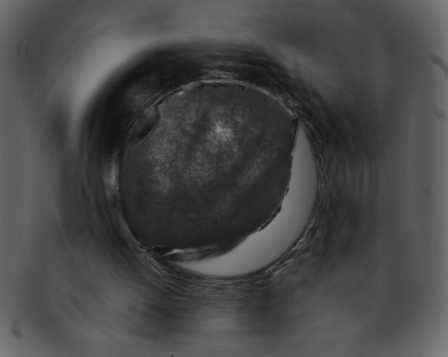 X0000093120052200710171254