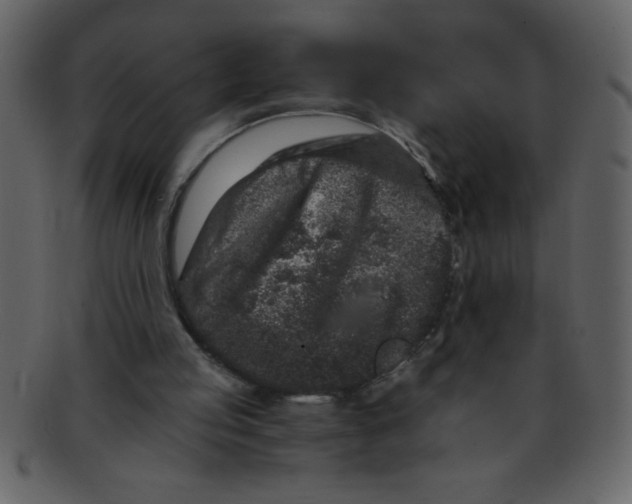 X0000093120053200710171254