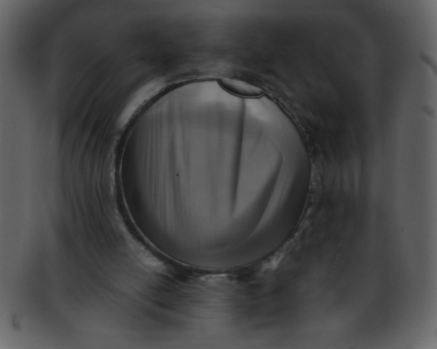 X0000093120054200710171254