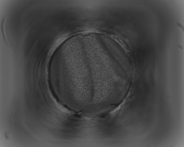 X0000093120055200710171254