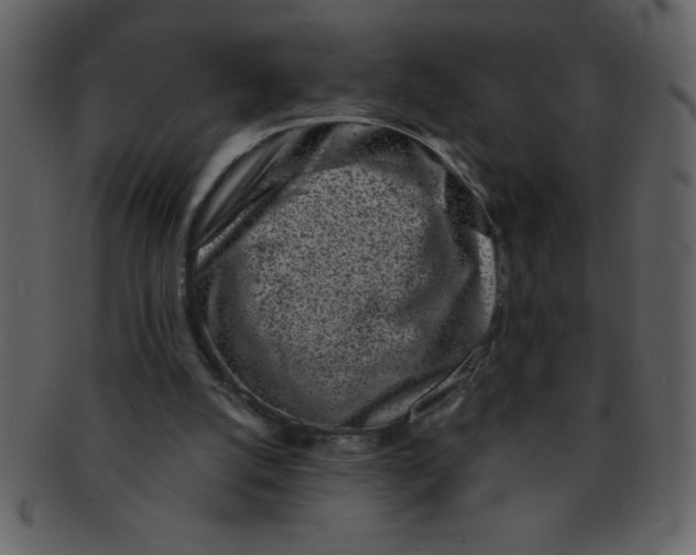 X0000093120056200710171254