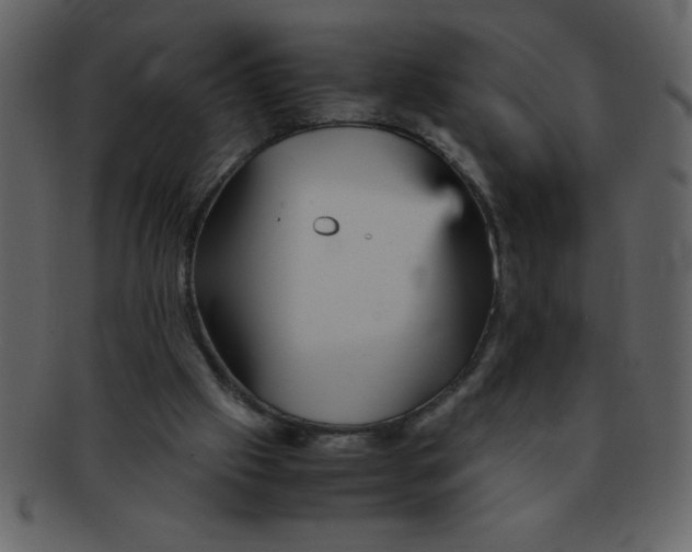 X0000093120057200710171254