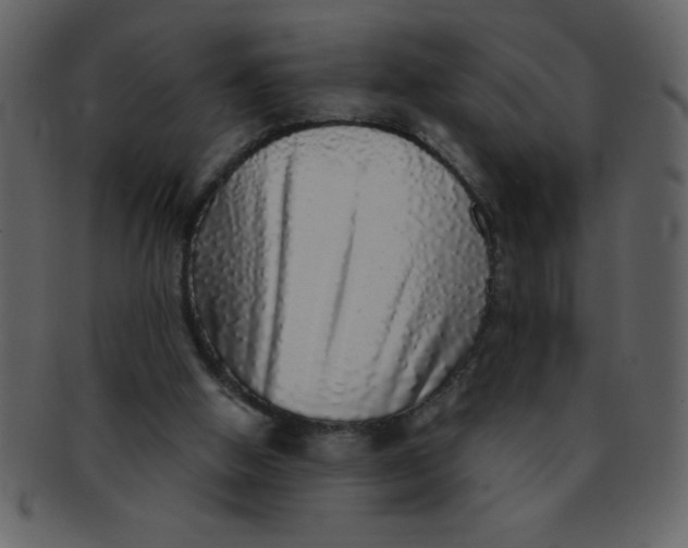 X0000093120058200710171254