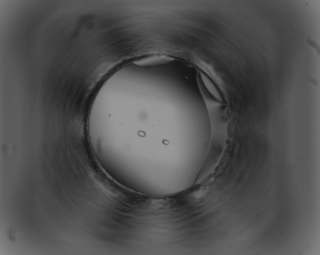 X0000093120060200710171254