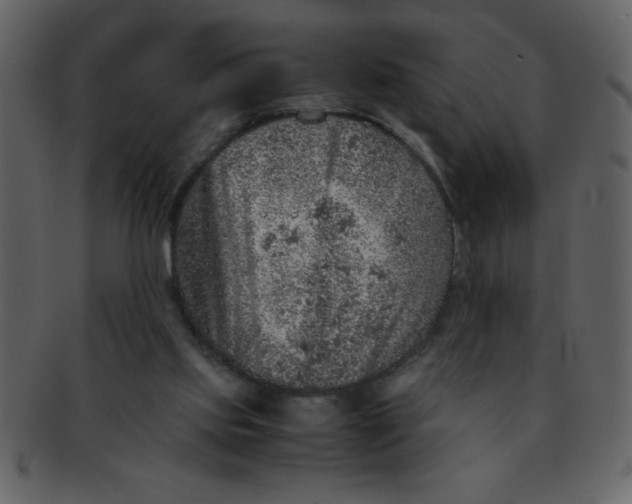 X0000093120061200710171254