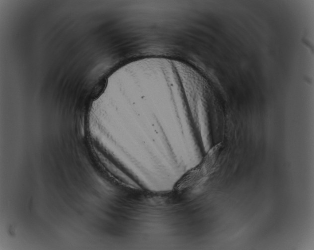 X0000093120062200710171255