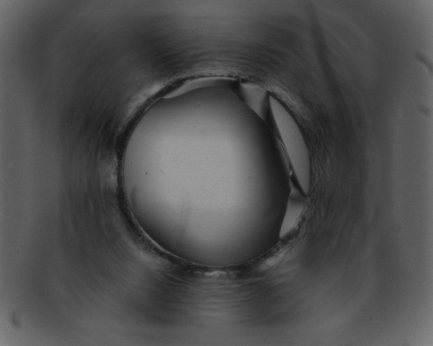 X0000093120064200710171255