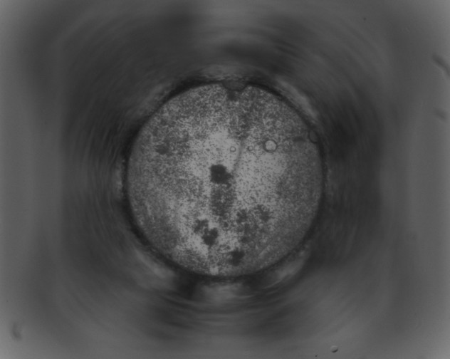 X0000093120065200710171255