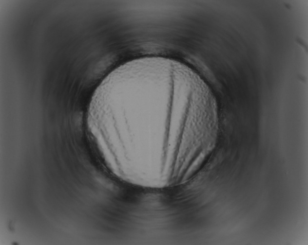 X0000093120066200710171255