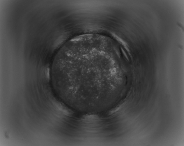 X0000093120067200710171255