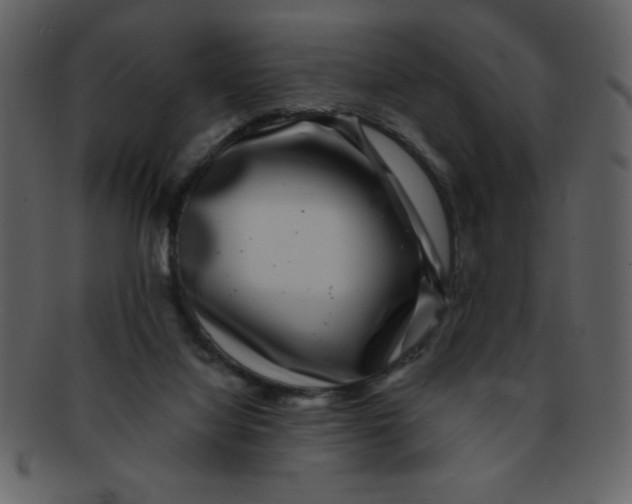 X0000093120068200710171255