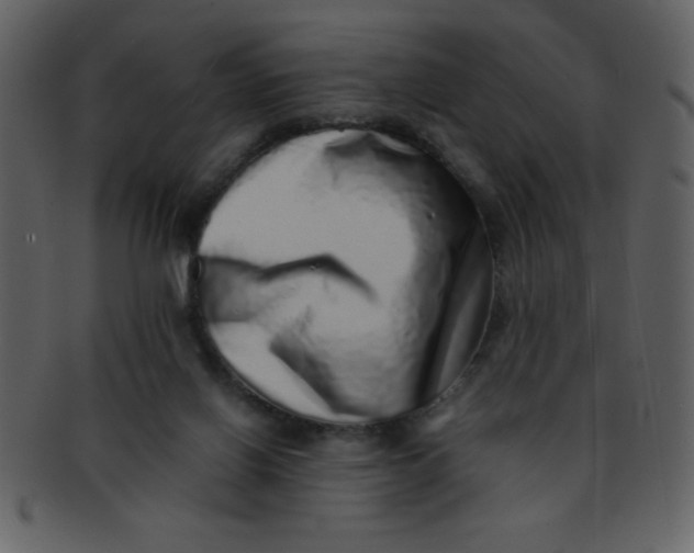 X0000093120070200710171255