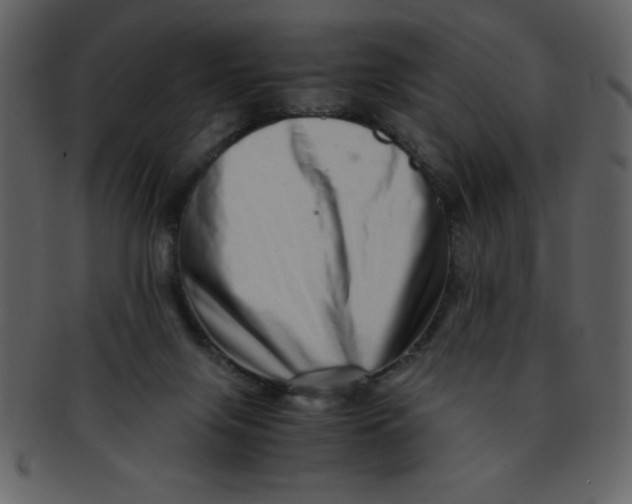 X0000093120071200710171255