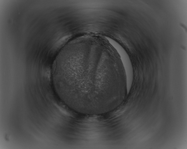 X0000093120072200710171255